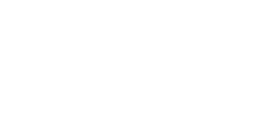 VidaXL